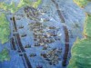 Civiltà Cattolica takes aim at Trump and Bannon battaglia-lepanto