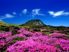 Il successo dell’AIIB Jeju Island - South Korea