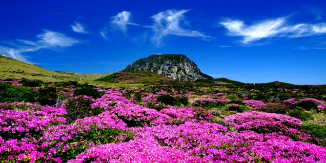 Jeju Island - South Korea